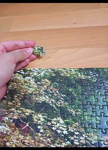 Beden Renk Art Gallery puzzle/yapboz