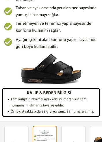 Diğer Anatomik terlik