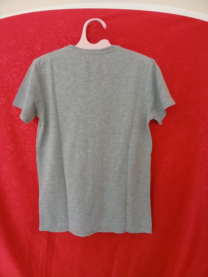 Gri Baskılı Erkek Tişört - Görsel 2