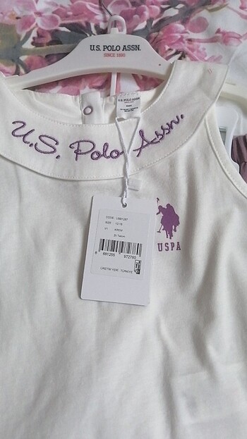 Polo takım