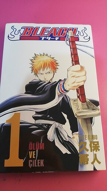 Bleach 