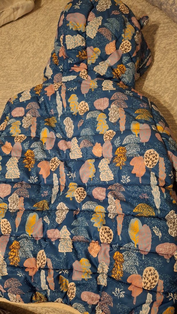 Kapüşonlu, Baskılı Mavi çocuk mont - Görsel 2