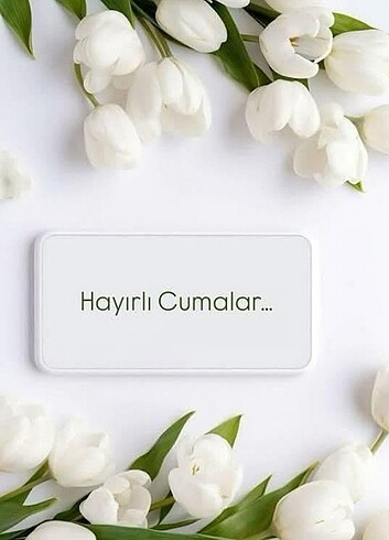 Kargı
