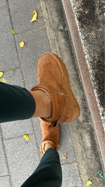 40 Beden Ugg taba