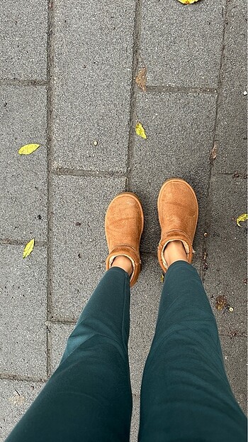 Ugg taba
