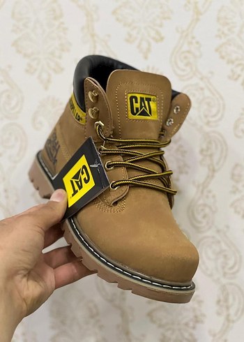 Cat 40