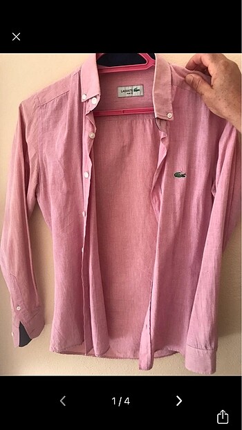 Lacoste gömlek