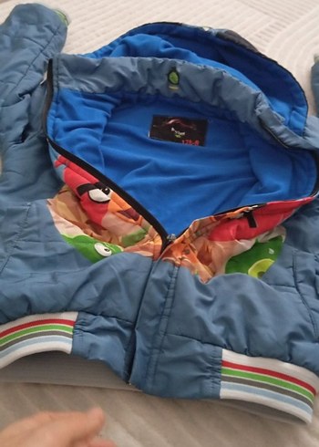 Erkek Çocuk Renkli Angry Birds Kapüşonlu Mont - Görsel 4