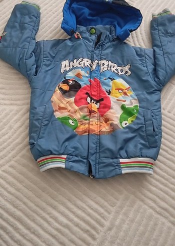 Erkek Çocuk Renkli Angry Birds Kapüşonlu Mont - Görsel 3