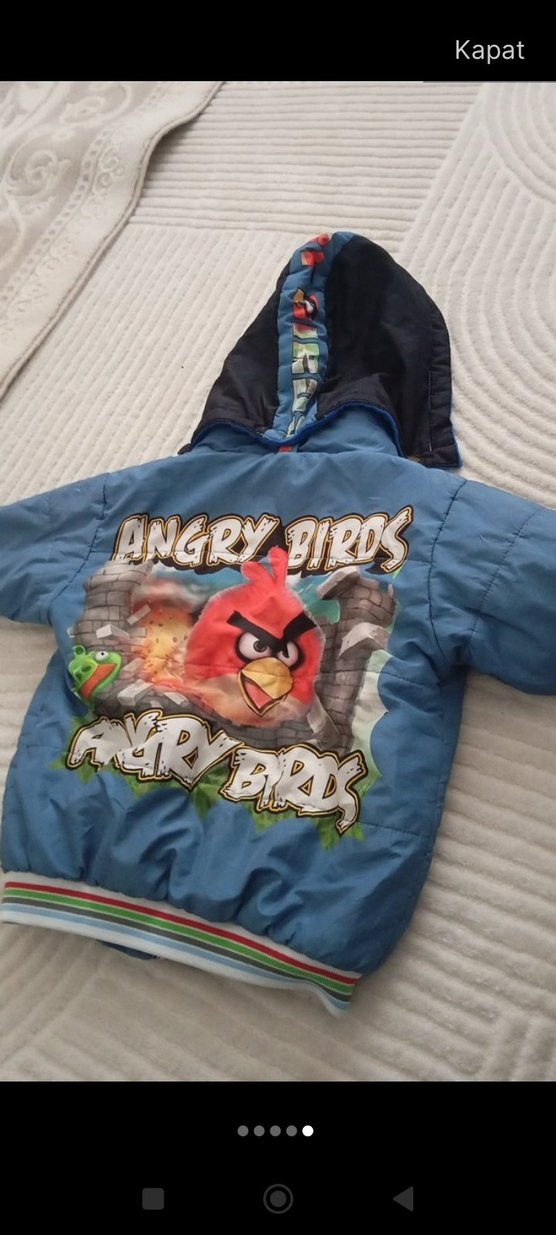 Erkek Çocuk Renkli Angry Birds Kapüşonlu Mont - Görsel 5