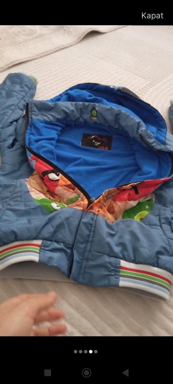 Erkek Çocuk Renkli Angry Birds Kapüşonlu Mont - Görsel 4