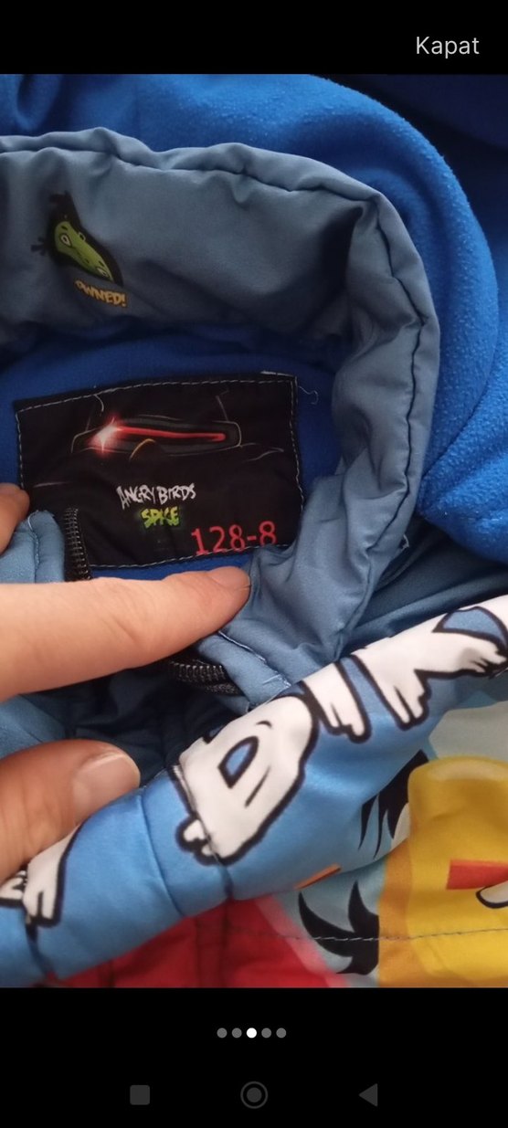 Erkek Çocuk Renkli Angry Birds Kapüşonlu Mont - Görsel 2