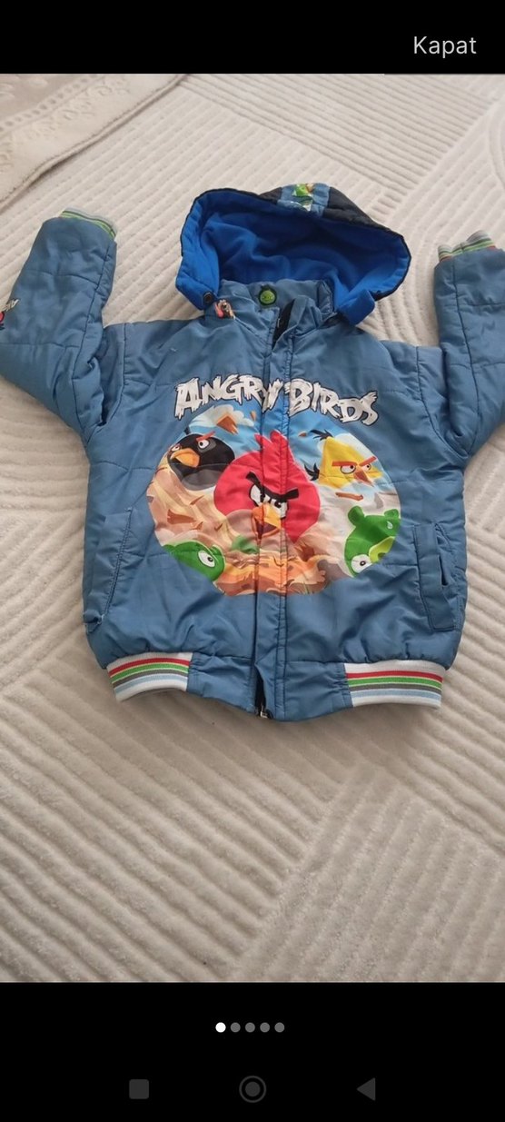 Erkek Çocuk Renkli Angry Birds Kapüşonlu Mont - Görsel 3