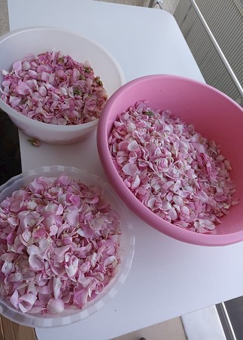 Pembe Gül Yaprakları Seti