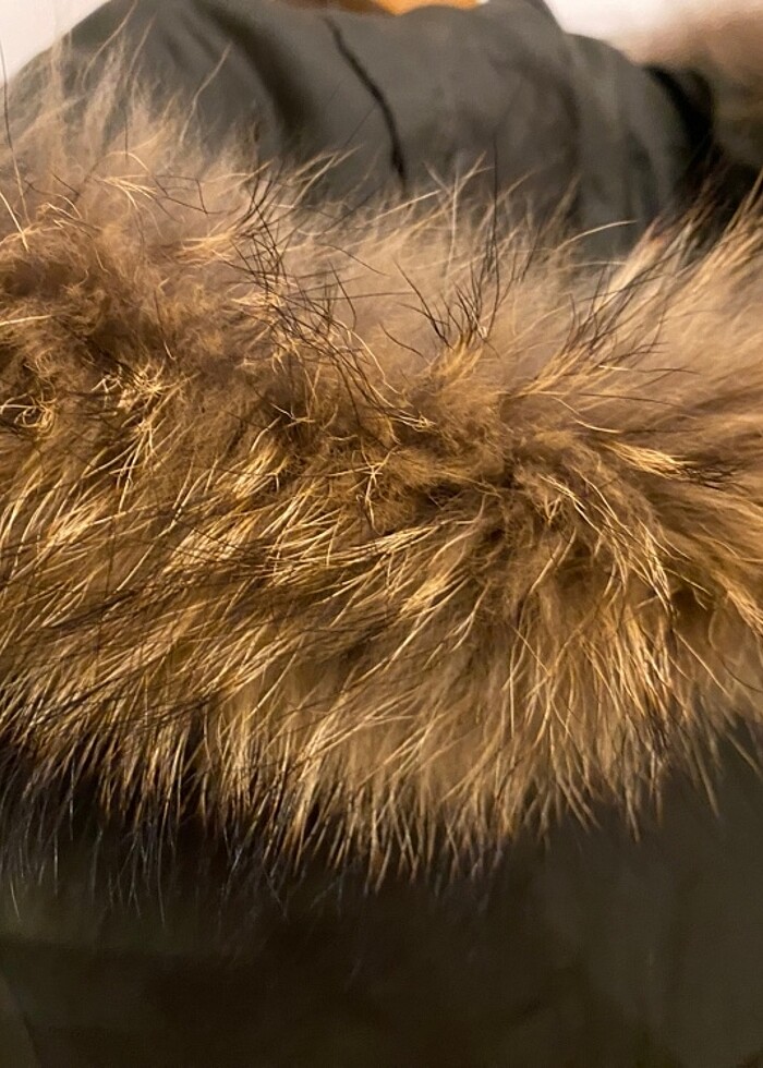 Parka Network - Görsel 3