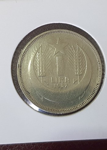 3 ADET GUMUS PARALAR - Görsel 4