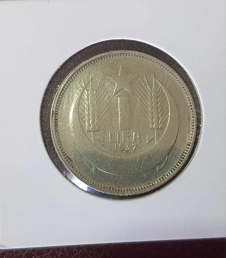 3 ADET GUMUS PARALAR - Görsel 4