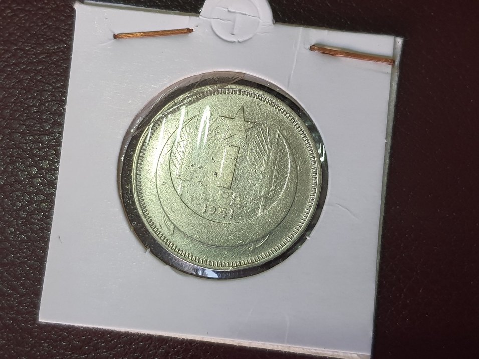 3 ADET GUMUS PARALAR - Görsel 3