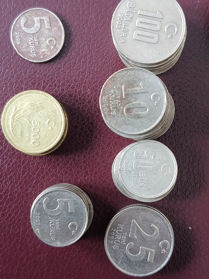 KOLEKSIYON PARALARI - Görsel 5