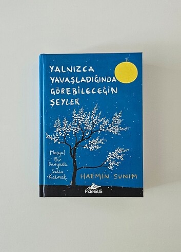 Yalnızca Yavaşladığında Görebileceğin Şeyler 