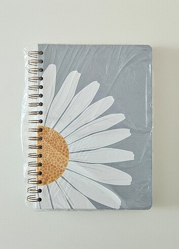 Kareli Defter 