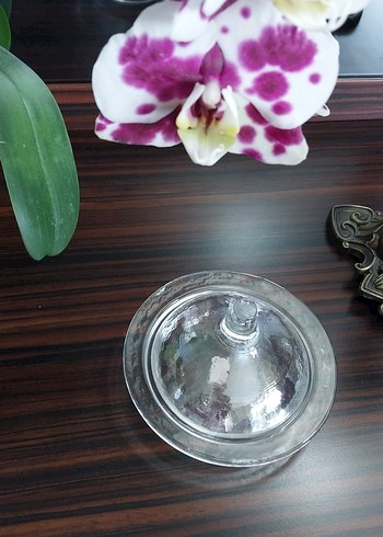 Şeffaf Cam Kapaklı Tabak Lonumluk Çok Amaçı Sunumluk - Görsel 2