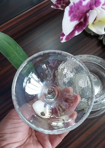 Şeffaf Cam Kapaklı Tabak Lonumluk Çok Amaçı Sunumluk - Görsel 4