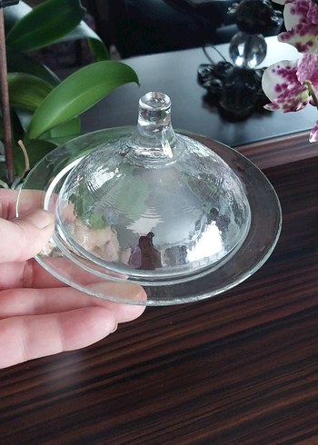 Şeffaf Cam Kapaklı Tabak Lonumluk Çok Amaçı Sunumluk - Görsel 7