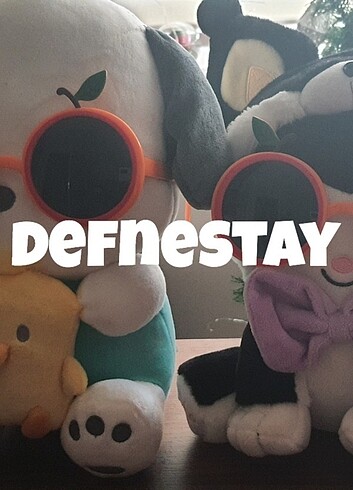 Defnestay