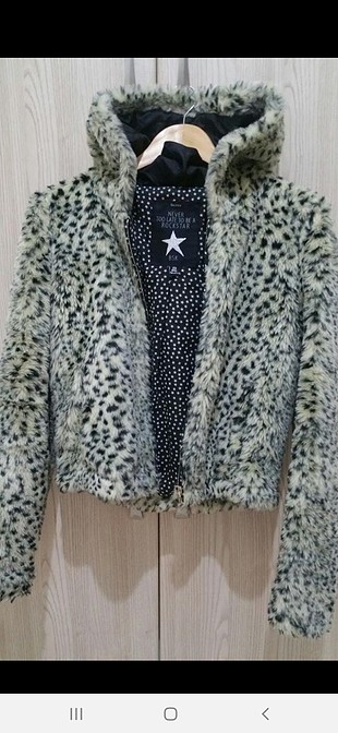 bershka mont