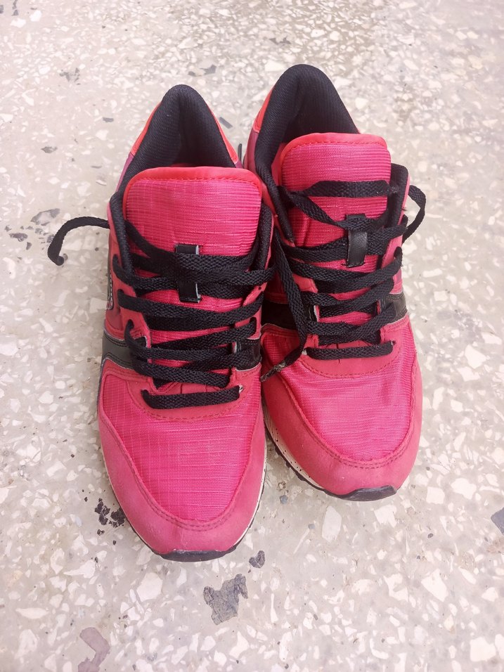 Lotto 41 no - Görsel 5