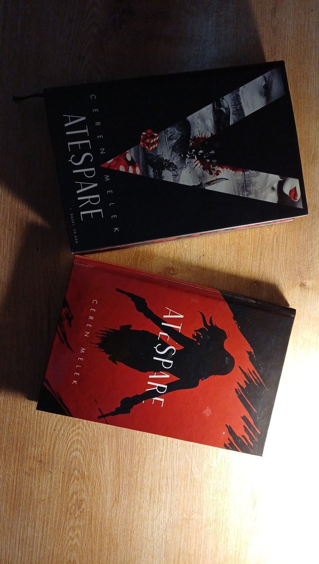 Ateşpare - Ceren Melek Romanı - Görsel 3