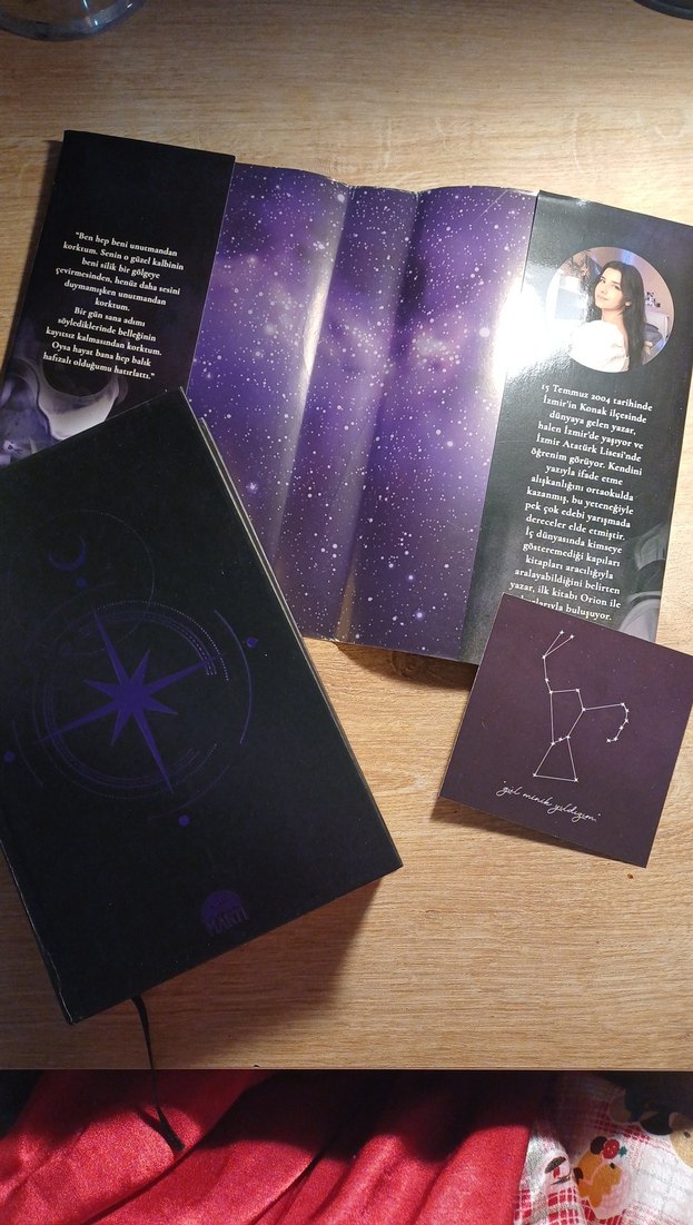 Orion - Almina Taner - Görsel 2