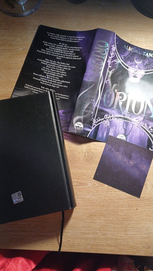 Orion - Almina Taner - Görsel 3