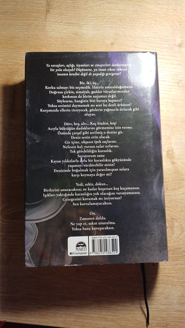 Orion - Almina Taner - Görsel 5