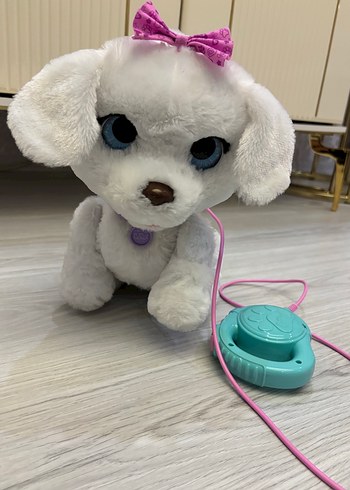 Beden Fur Real Dans Eden Köpeğim GoGo