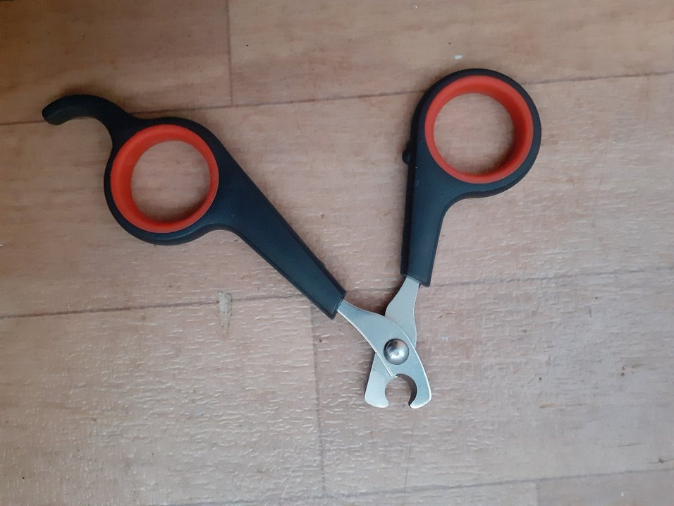 Renkli Kedi Tırnak Makası - Görsel 3