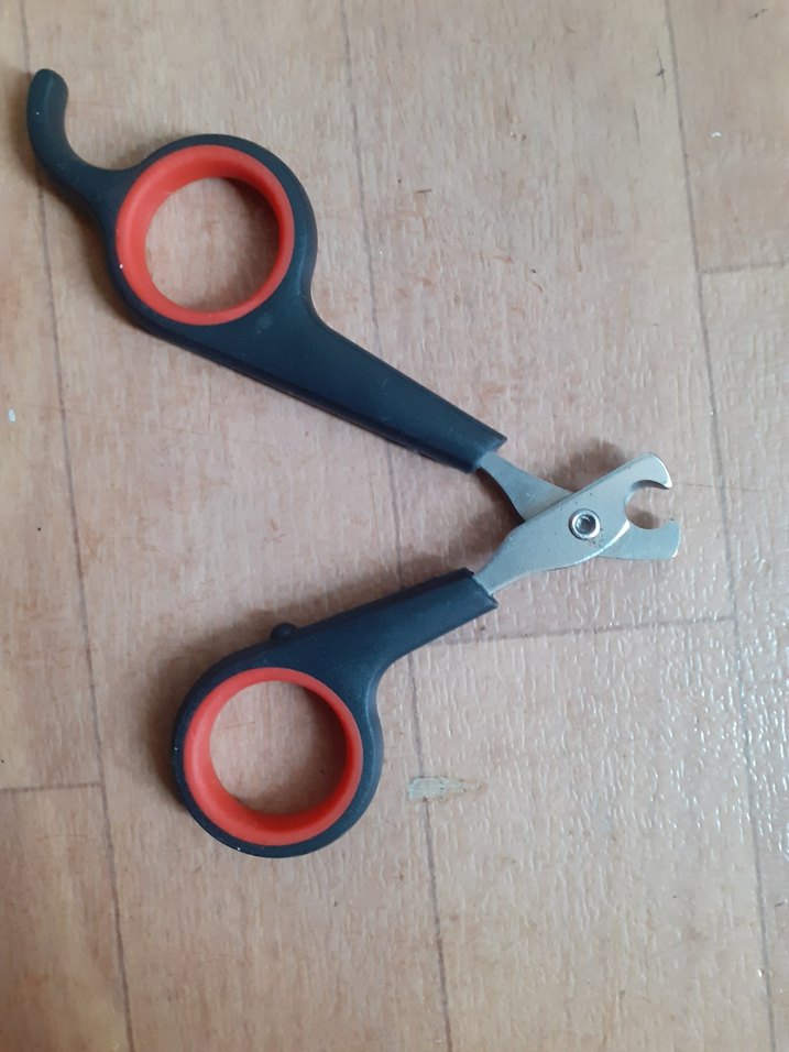 Renkli Kedi Tırnak Makası - Görsel 2