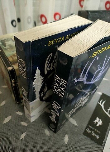  Beden Renk Kitap 