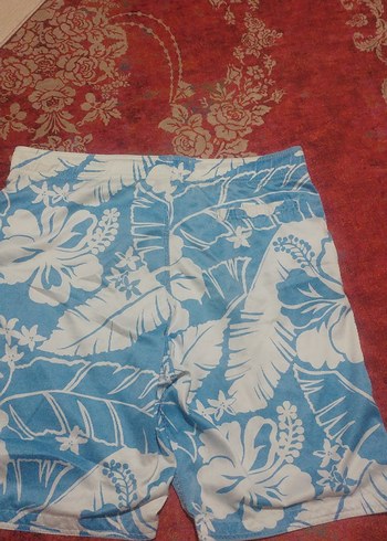 Mavi Desenli Erkek deniz şort - Görsel 2