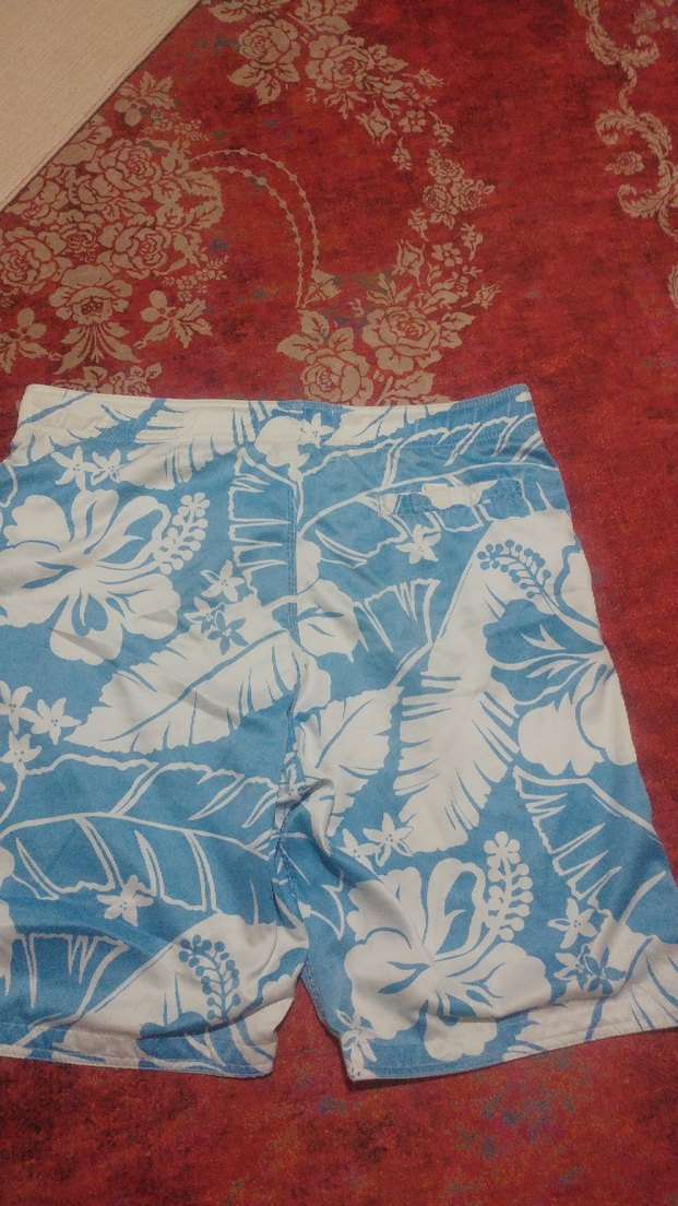 Mavi Desenli Erkek deniz şort - Görsel 2