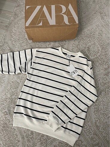 zara sweatshirt