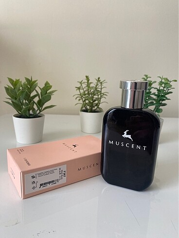 muscent f367