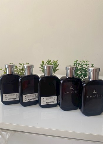 MUSCENT Kadın Parfümü 100 ml