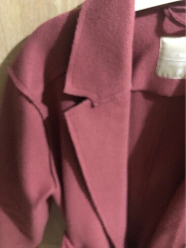 Bayan kaban - Görsel 3