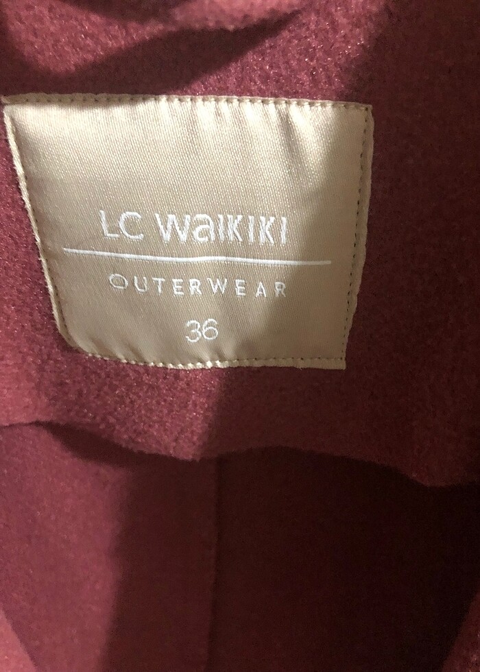 Bayan kaban - Görsel 4