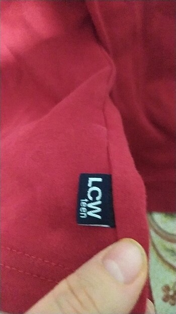 Badi sivit