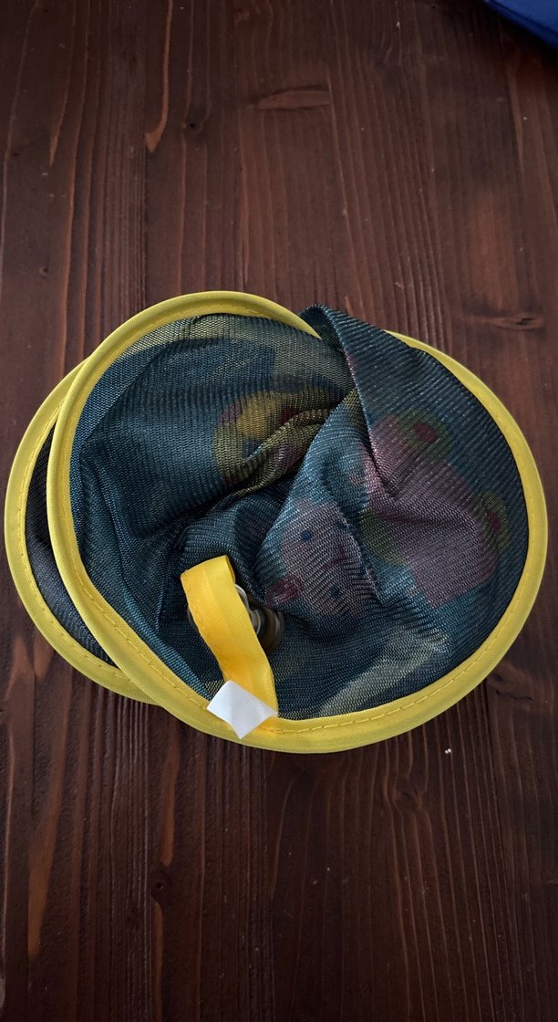 Chicco Renkli araba içi güneşlik - Görsel 3