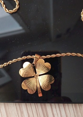 Uzun Zincirli çelik Renkli Yonca Kolye - Görsel 2