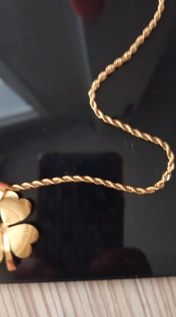 Uzun Zincirli çelik Renkli Yonca Kolye - Görsel 3